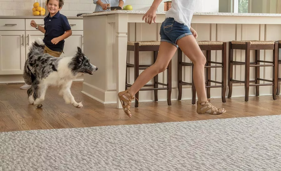 Phenix Cleaner Home carpet collection