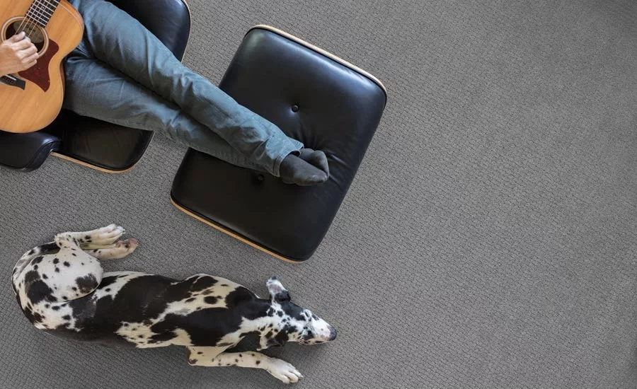 0119 ft tiseprod img1