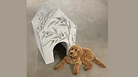 TCNA Dog House