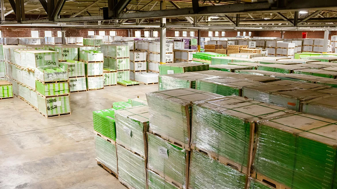 Happy Feet International