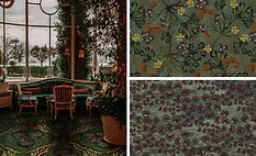 collage of rug collection