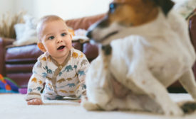 baby and dog
