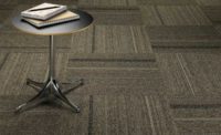Pentz Commercial's Apex SDP carpet fiber