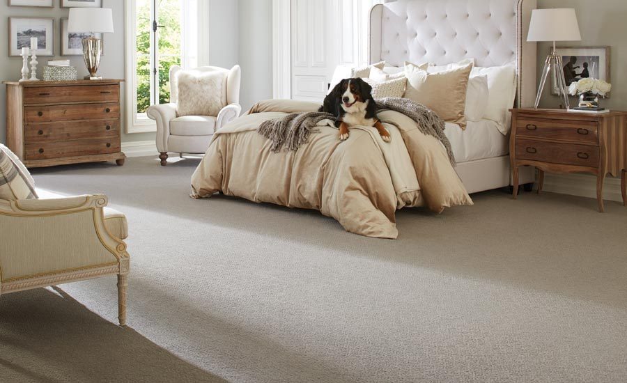 What's Next for PetFriendly Floors 20180209 Floor Trends Magazine