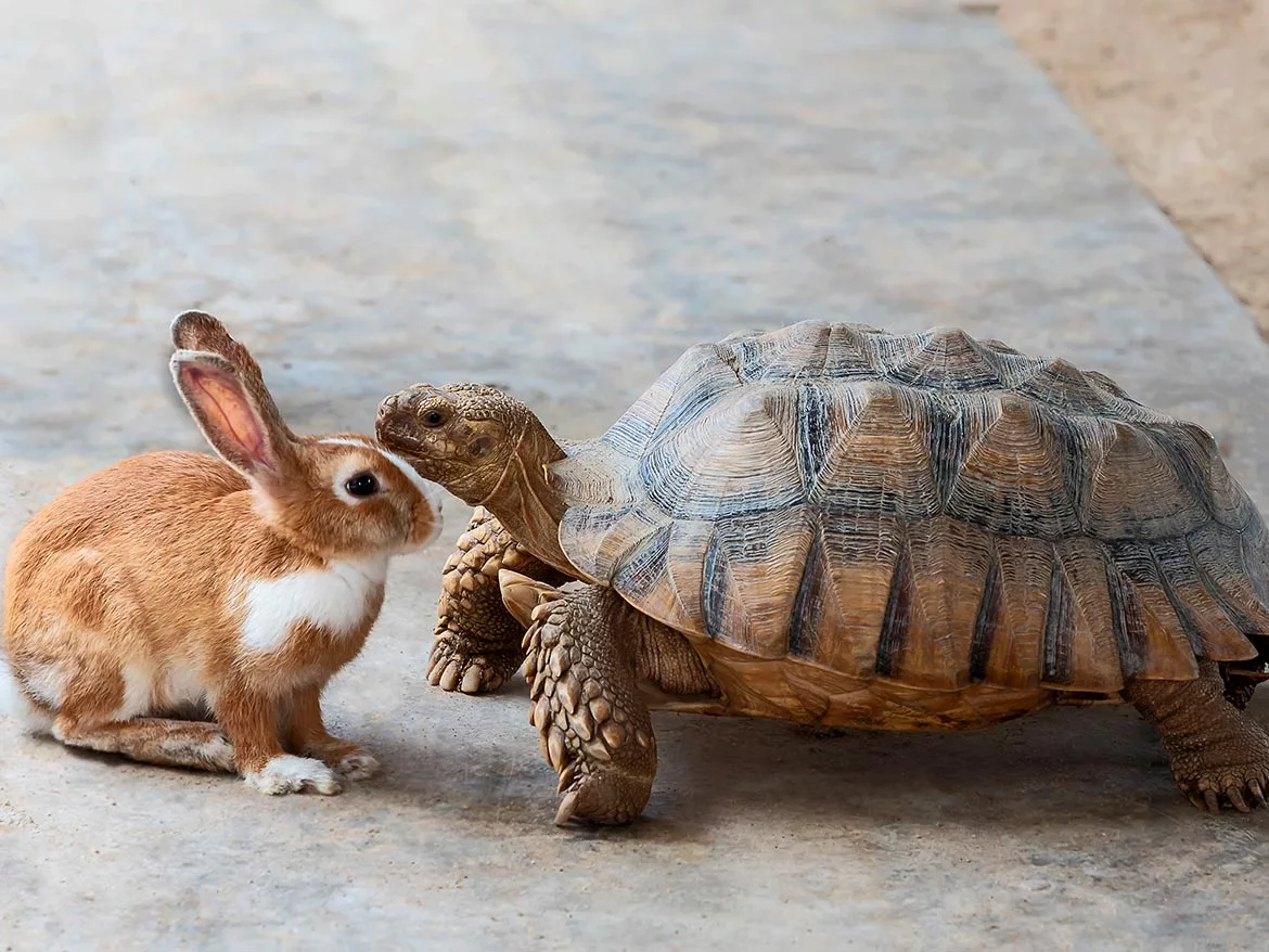 adapting to organizational changes