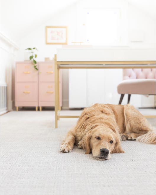 SmartStrand Chic Influence carpeting by Mohawk