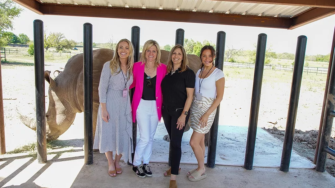 flooring retailers at the Rhinory