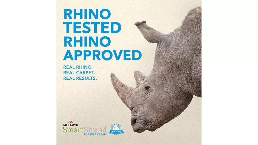 Ft0623 pop materials inbody image 4