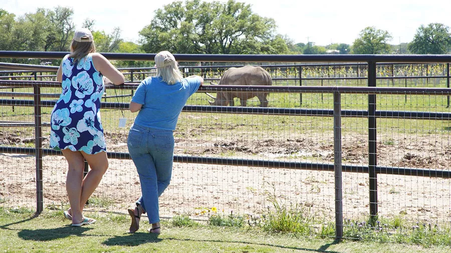 Ft0623 retail insight inbody image 2