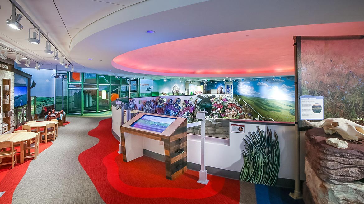 Installation Awards Commercial Carpet Winner: Flint Hills Discovery Center Kidscape