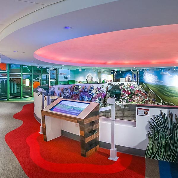 Installation Awards Commercial Carpet Winner: Flint Hills Discovery Center Kidscape