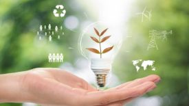 Environmental, social, and corporate governance (ESG)