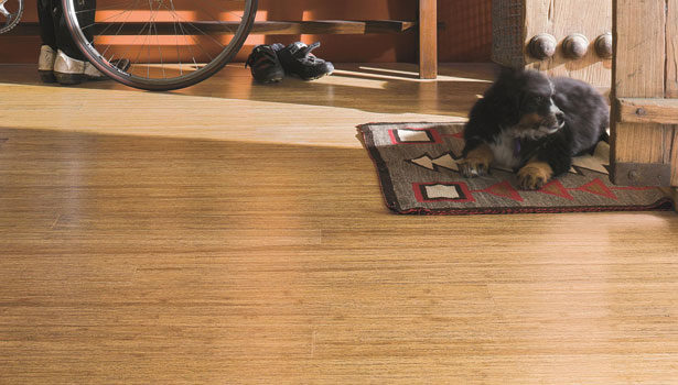 Eco Friendly Tips For Wood Installation, Green Eco Laminate Flooring