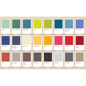 The Color Roadmap: Your Palette for Success