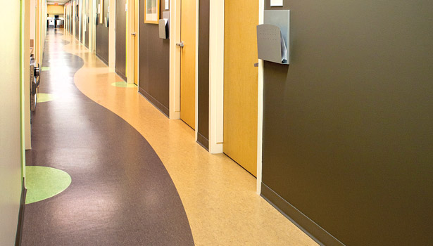 Ardex