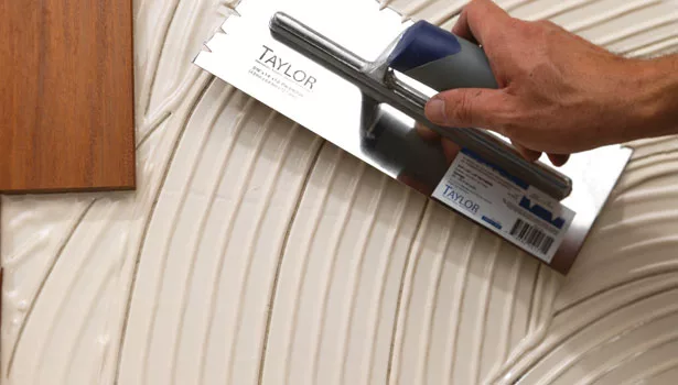 Functional Trends & Technologies in Adhesives