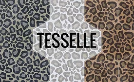 Tesselle-Safari