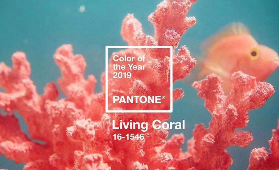 Pantone-CotY-Coral.jpg