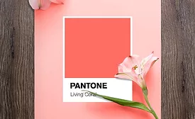 Pantone-CotY2019