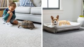 Shaw Floors Announces 2022 Pet Perfect Introductions.jpg