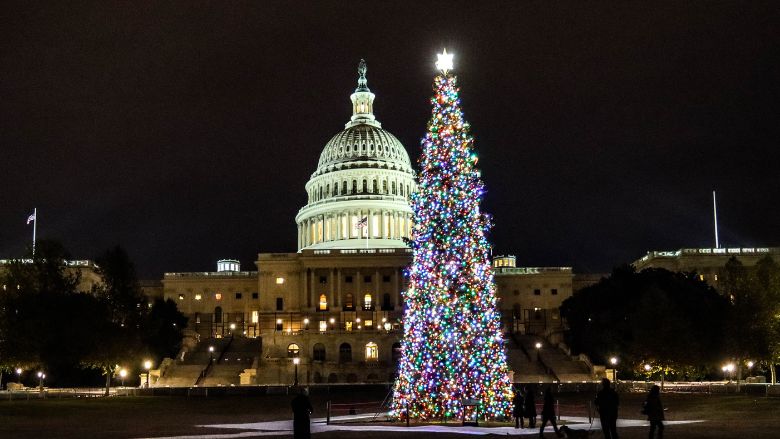 AHF Products US Capitol Christmas Tree.jpg
