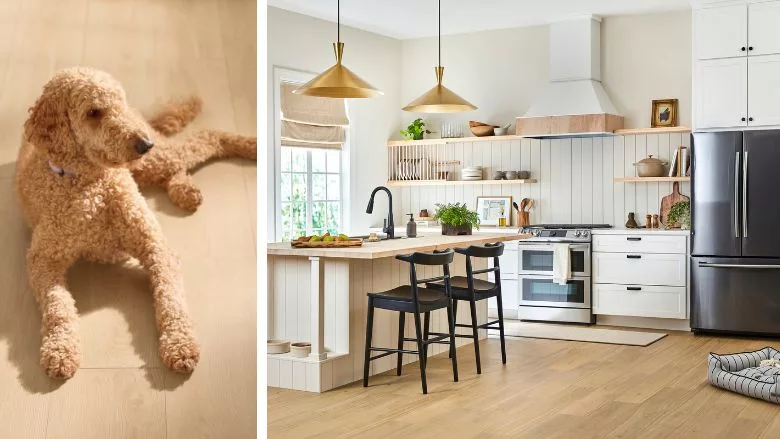 Shaw Floors Pet Perfect Mineral Core.jpg