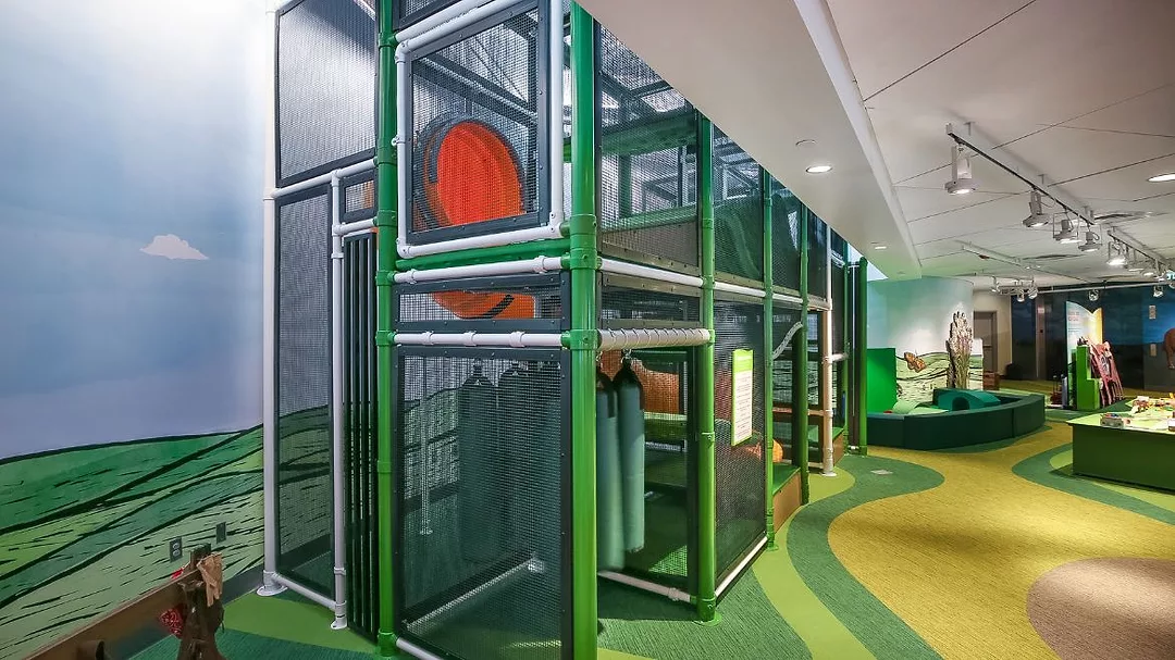 Starnet People's Choice.jpg