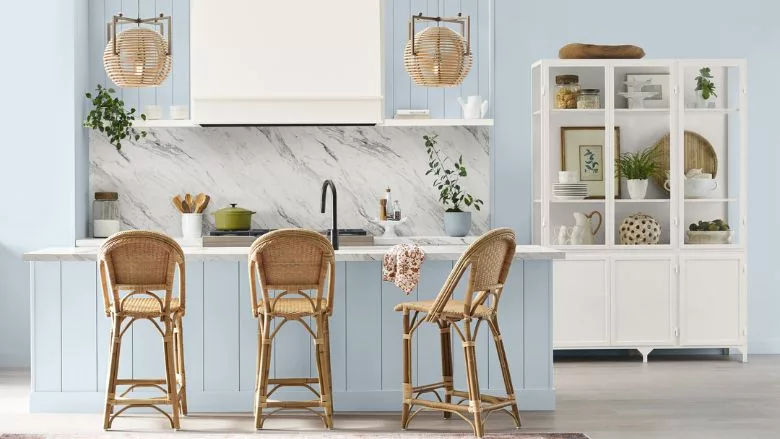 Sherwin Williams 2024 Color of the Year Upward.jpg