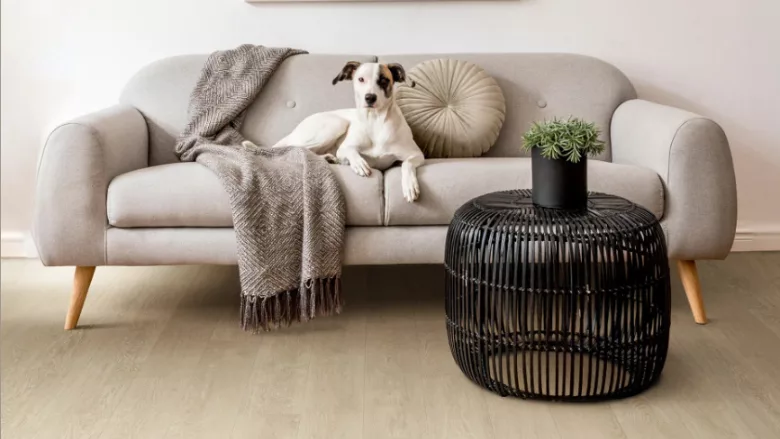 PureGrain High Def.png