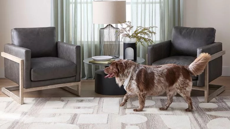 Lanvin and SPCA of Triad.jpg