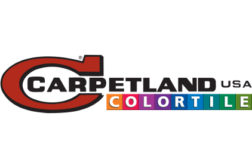 carpetplus colortile