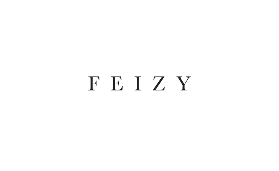 Feizy logo