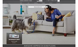 shaw website of the year