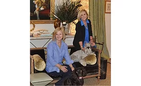 quick step designers