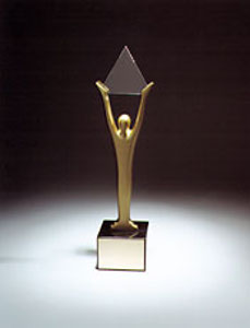 STEVIE AWARD