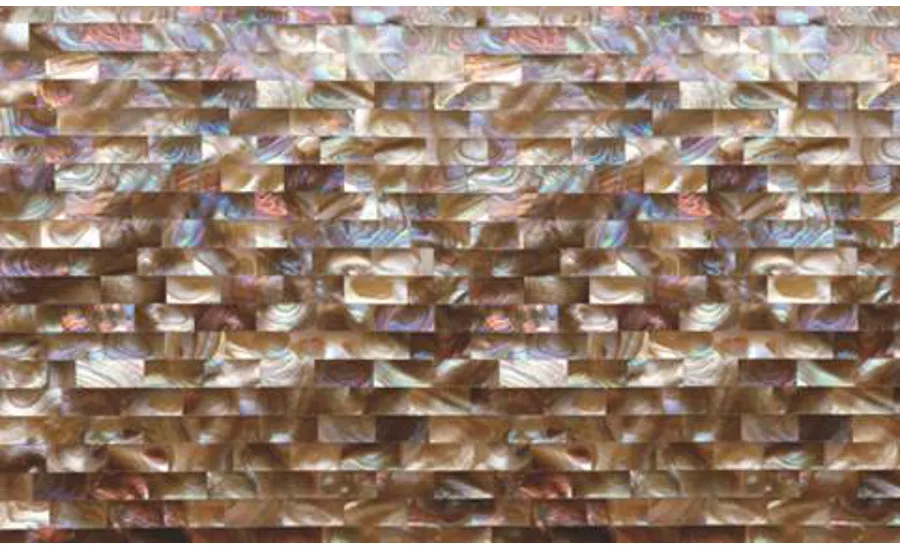Antolini Shellstone Collection1 900x550