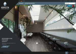 aspecta german website