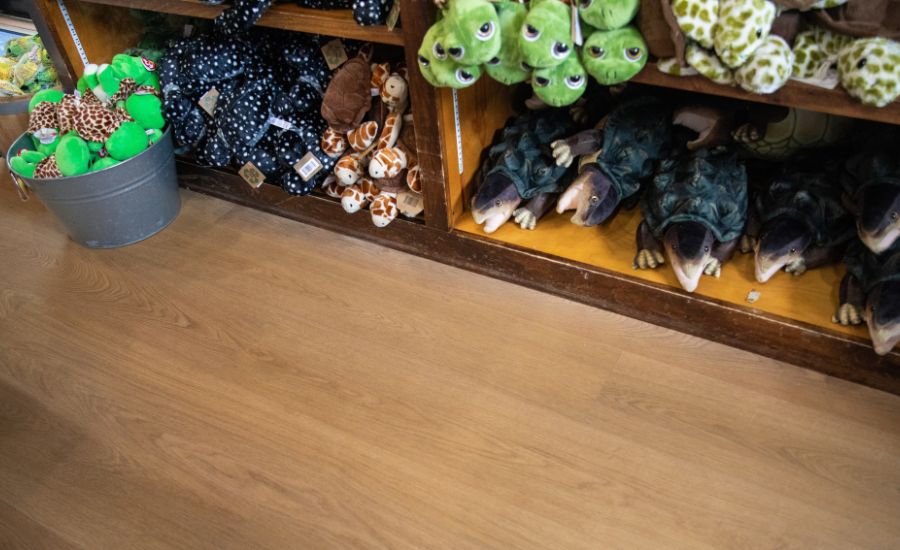 Georgia Sea Turtle Center on Jekyll Island, Georgia