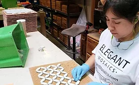 Elegant-Mosaics-Handcrafted