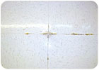 moisture damage in vinyl composition tile