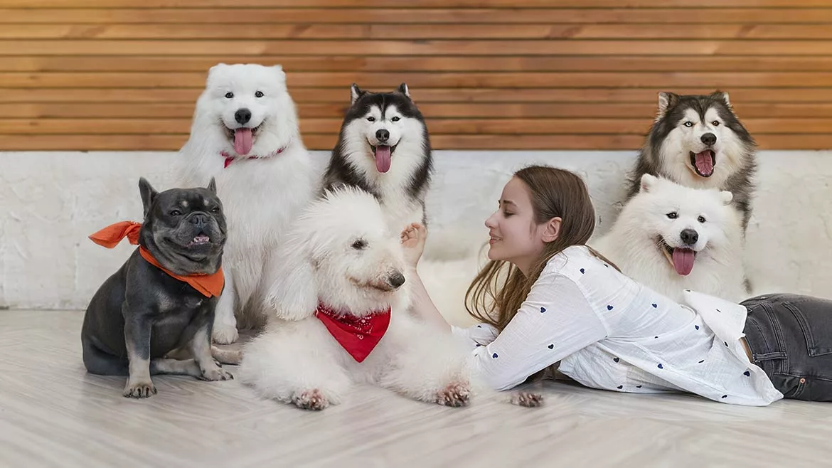 flooring for pet care facilities